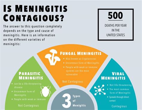 how contagious in meningitis